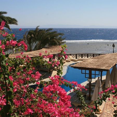 Nesima Resort 다합 외부 사진