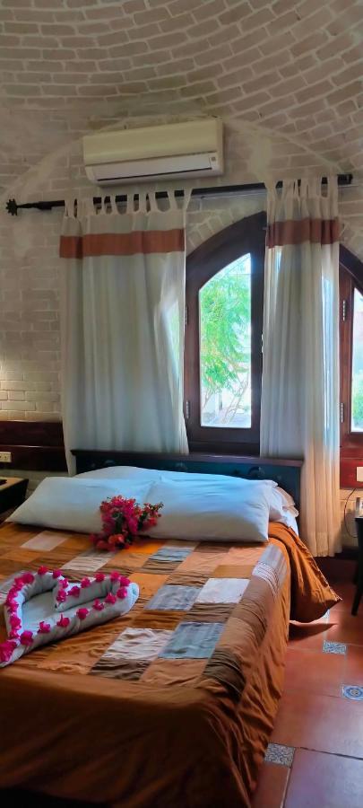 Nesima Resort 다합 외부 사진