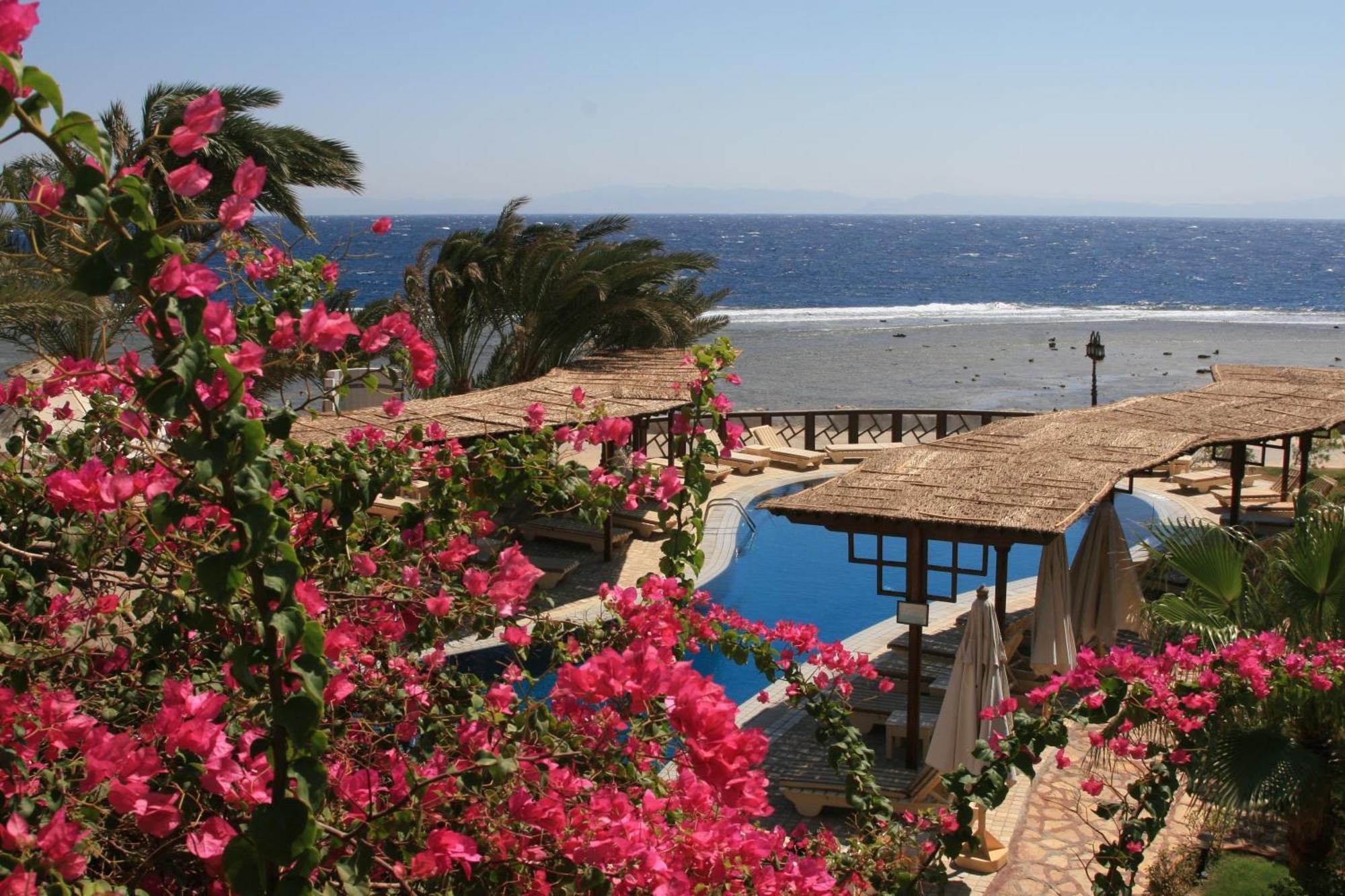 Nesima Resort 다합 외부 사진